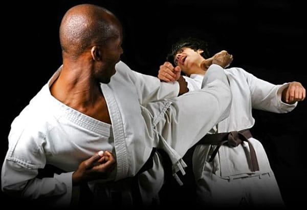 about hapkido self defense