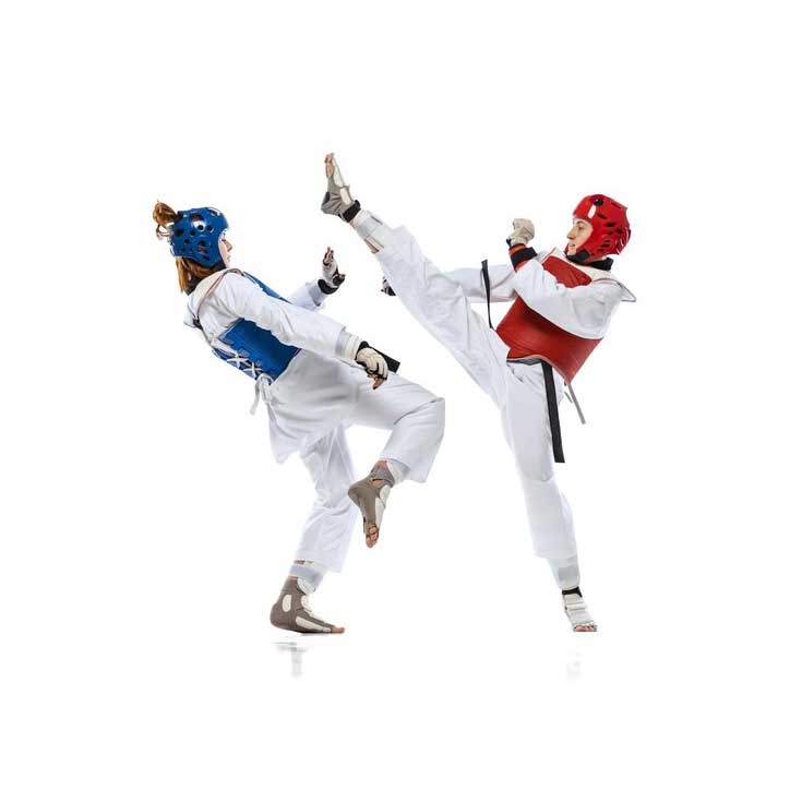 taekwondo coaching and training
